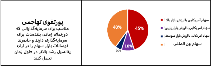 پورتفوی تهاجمی