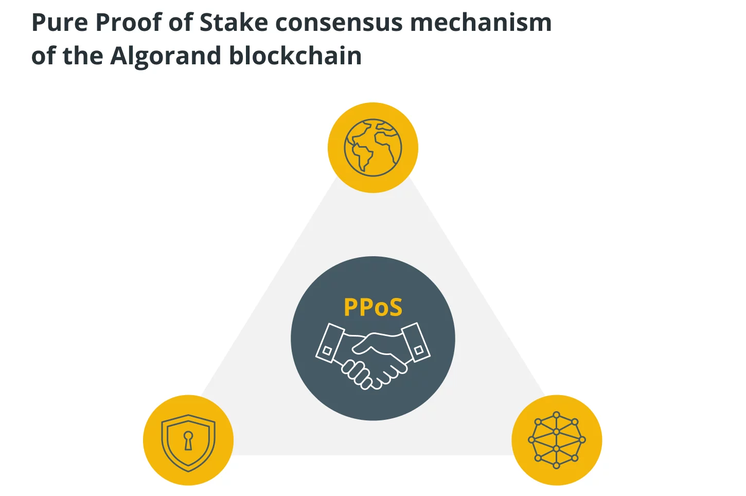Pure Proof-of-Stake (PPoS) blockchain