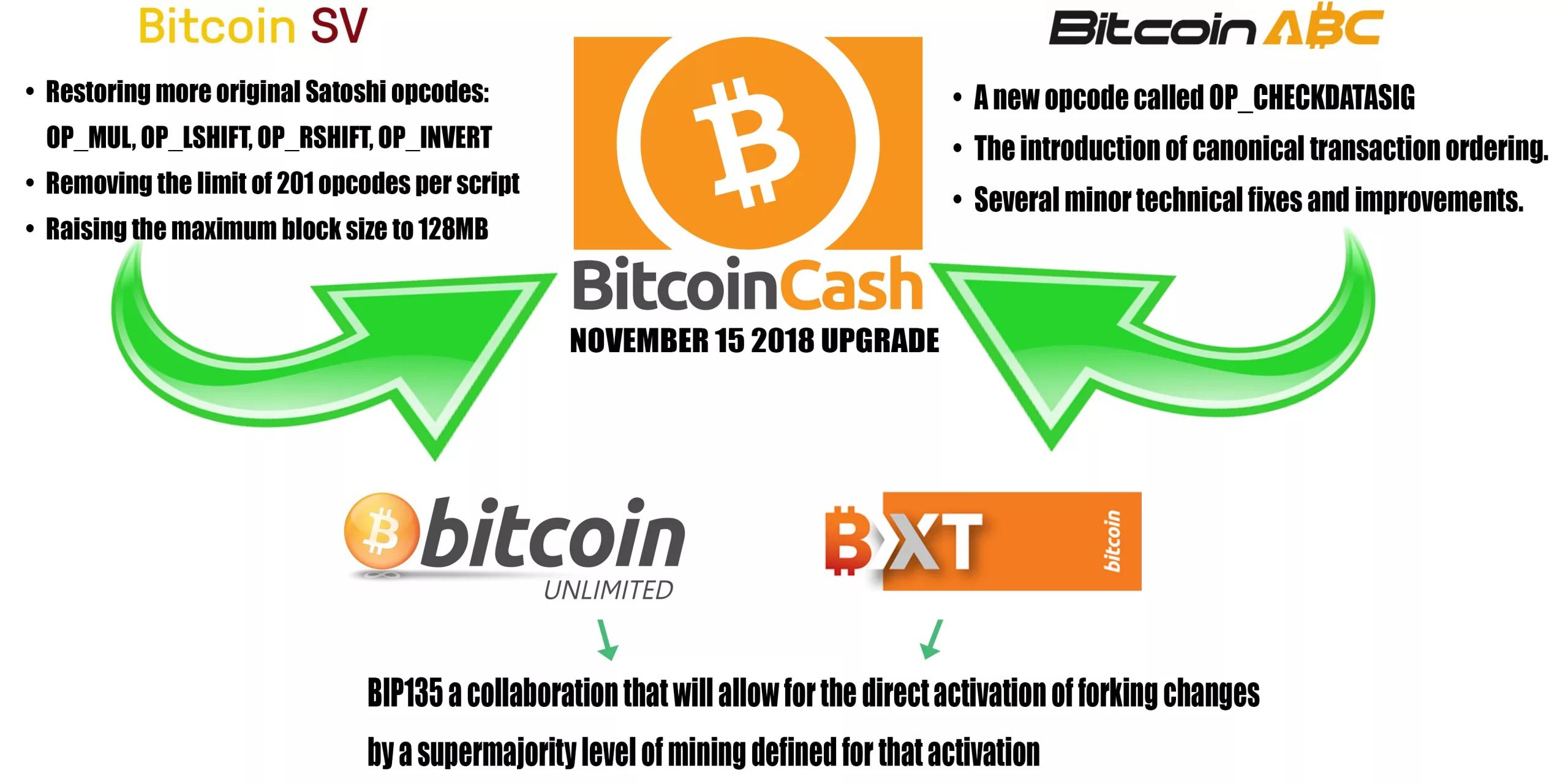 Bitcoin Cash Bitcoin Cash