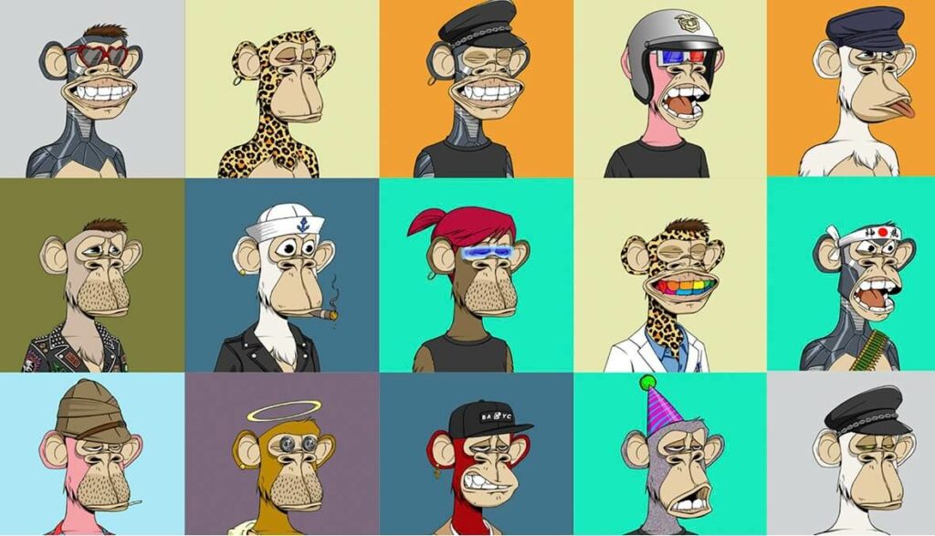 BAYC (Bored Ape Yacht Club) BAYC (Bored Ape Yacht Club)