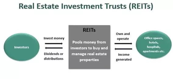 Real Estate Investment Trust (REIT)