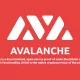 آوالانچ (Avalanche) و کوین AVAX