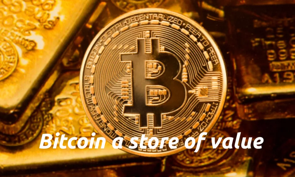 آیا بیت کوین (Bitcoin) ذخیره ارزش است؟