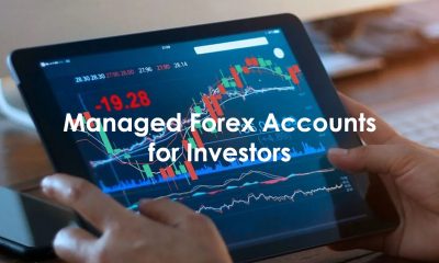 آیا می توان مدیریت حساب فارکس خود را به دیگران سپرد؟