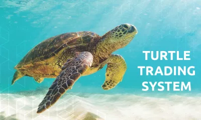 استراتژی معاملاتی لاک پشت ها!