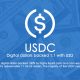 استیبل کوین یو اس دی سی (USDC)