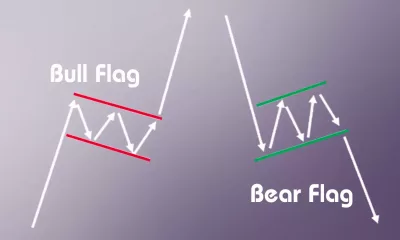 الگوی پرچم (Flag)