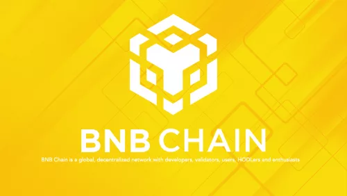زنجیره بی ان بی (BNB Chain‌) و کوین BNB