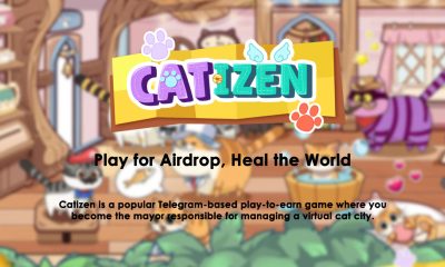 بازی کتیزن (Catizen) چیست؟ شرکت در ایردراپ