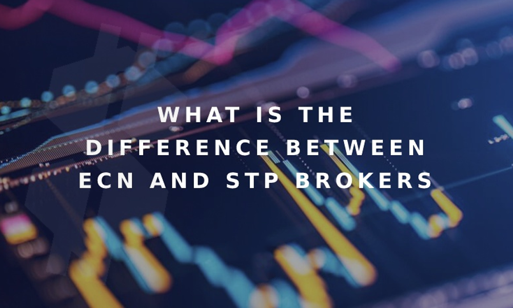بروکر ECN یا STP، کدام نوع بروکر برای معاملات در فارکس بهتر هستند؟