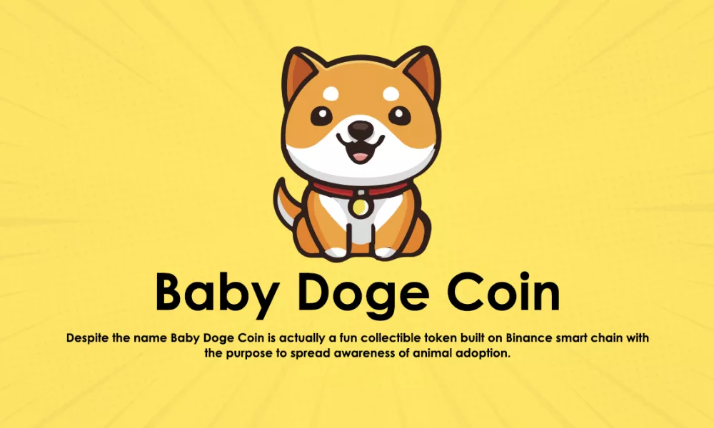 بیبی دوج کوین (Baby Doge Coin) و توکن BabyDoge