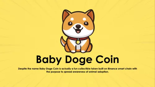 بیبی دوج کوین (Baby Doge Coin) و توکن BabyDoge