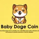 بیبی دوج کوین (Baby Doge Coin) و توکن BabyDoge