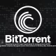 بیت تورنت (BitTorrent) و کاربرد BTT در این شبکه