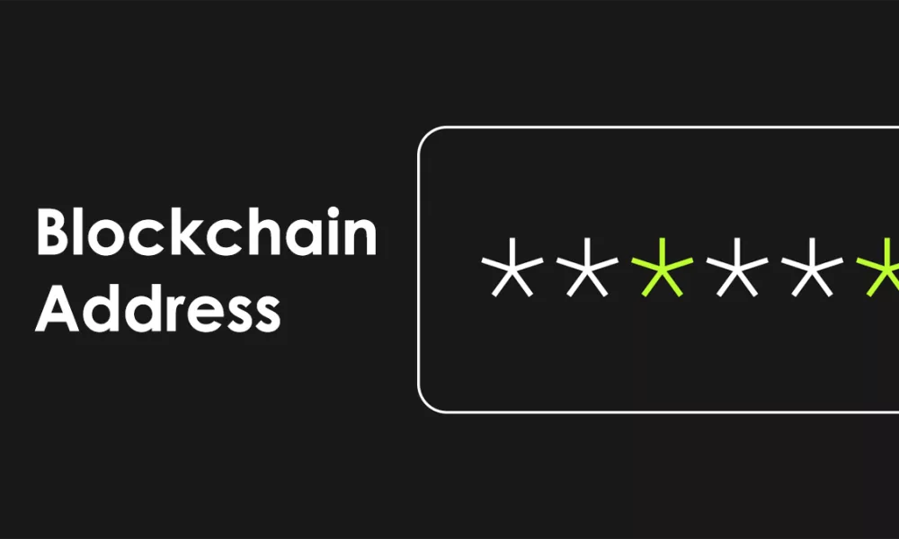 راز آدرس ها در بلاکچین (Blockchain)