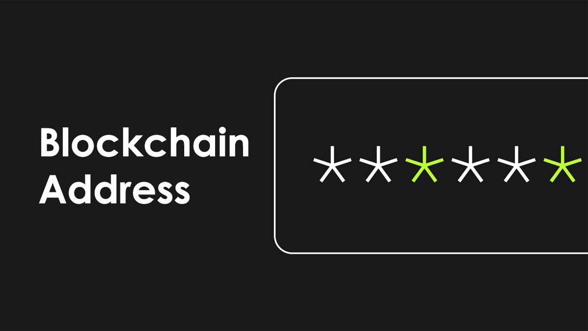 راز آدرس ها در بلاکچین (Blockchain)