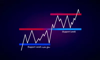 سطح حمایت [Support Level] چیست؟