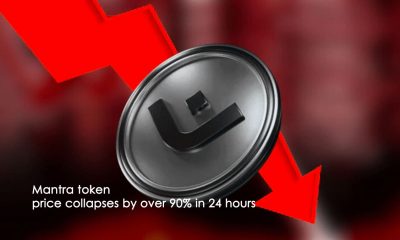 سقوط آزاد مانترا (OM)، بیش از ۹۰ درصد در ۲۴ ساعت!