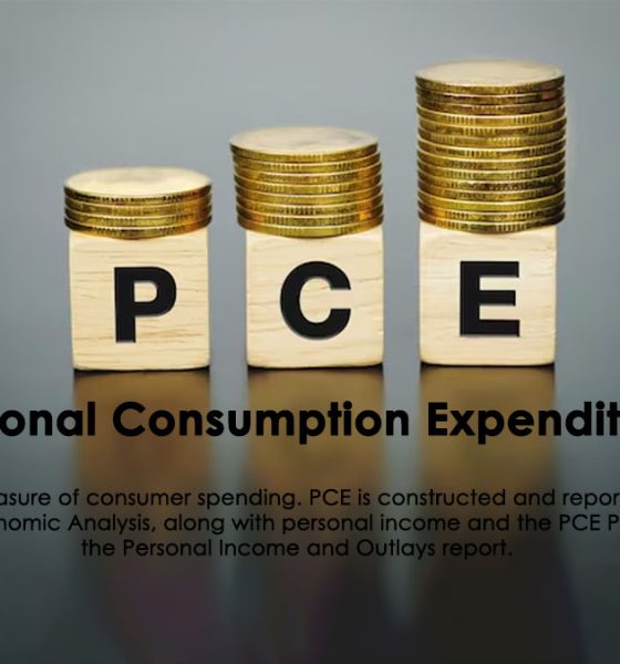 شاخص هزینه های مصرف شخصی (Personal Consumption Expenditures) یا PCE چیست؟