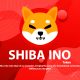 شیبا اینو (Shiba Inu) و توکن SHIB