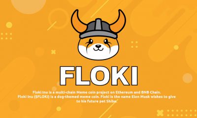 فلوکی اینو (Floki Inu) و توکن FLOKI
