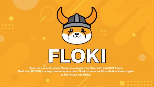 فلوکی اینو (Floki Inu) و توکن FLOKI