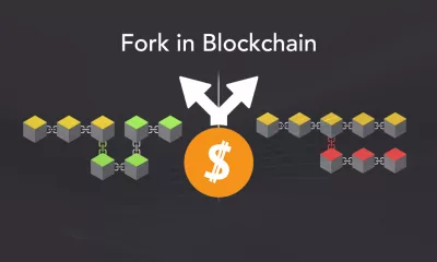 فورک (Fork) در بلاکچین (Blockchain) چیست؟