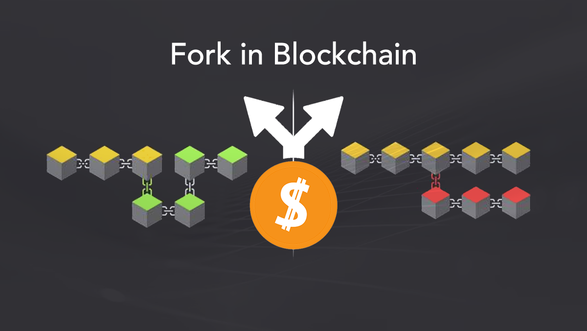 فورک (Fork) در بلاکچین (Blockchain) چیست؟