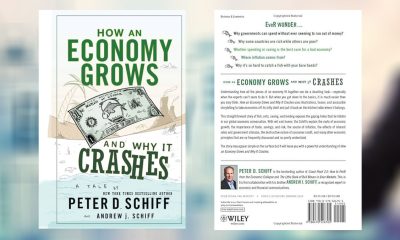 معرفی و خلاصه کتاب دید اقتصادی (Economy Grows) از پیتر شیف (Peter Schiff)