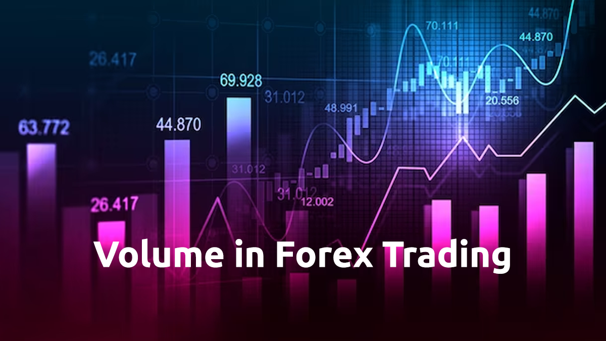 نقش حجم در معاملات فارکس چیست؟
