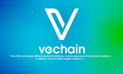 وی چین (Vechain) و توکن های VTHO, VET