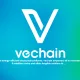 وی چین (Vechain) و توکن های VTHO, VET