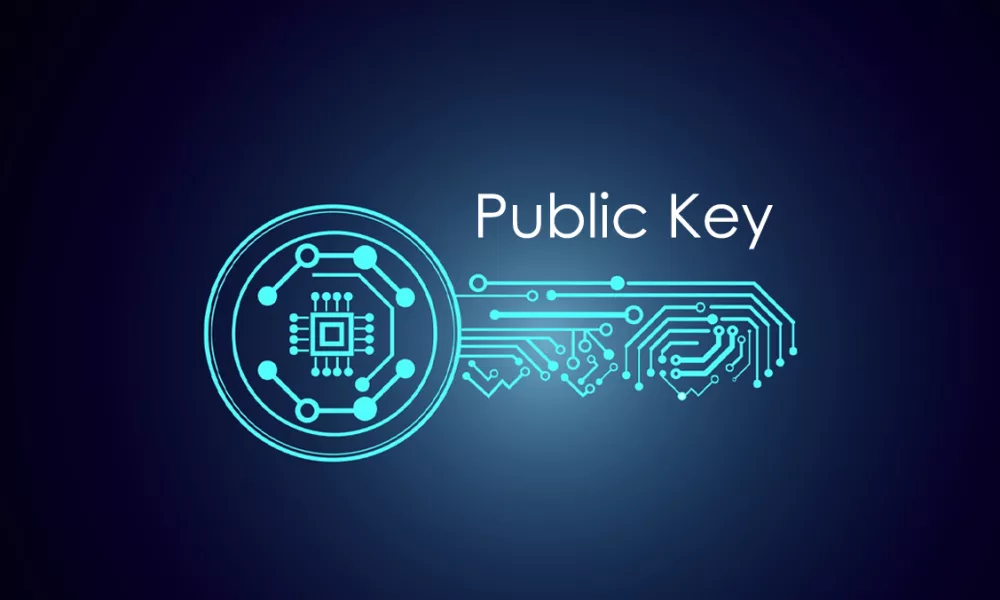 کلید عمومی (Public Key) چیست؟