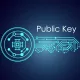 کلید عمومی (Public Key) چیست؟