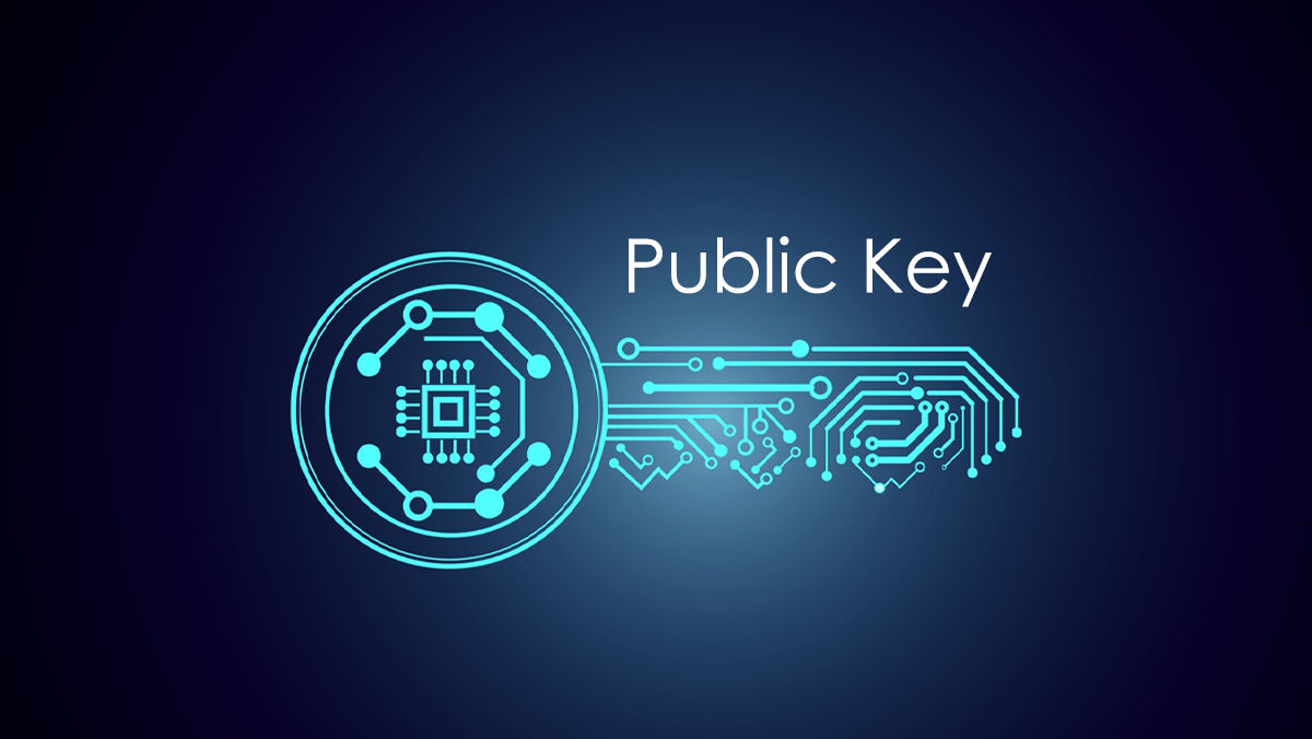 کلید عمومی (Public Key) چیست؟
